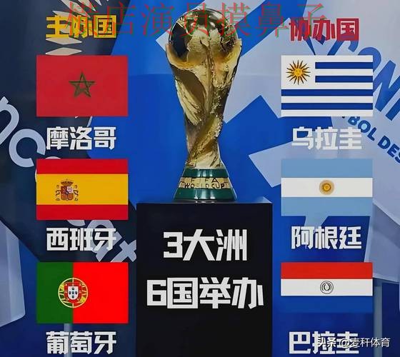 世界杯投注平台合集哪个好?围绕安全入口做一次全面揭秘(世界杯赛事中心) 世界杯投注平台合集哪个好?围绕安全入口做一次全面揭秘(世界杯赛事中心)