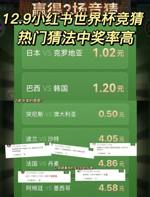 世界杯直播期间热门世界杯竞猜平台精选与直播入口分析